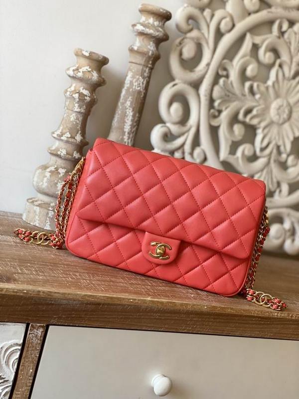 Chanel Handbags 235